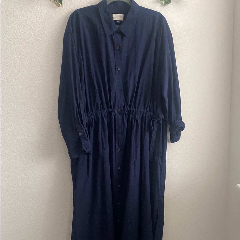 Universal Thread Blue Buttoned Maxi Dress